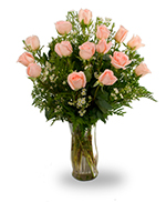 Fifteen peach roses